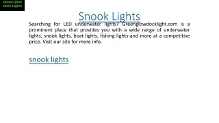 Snook Lights  Greenglowdocklight.com