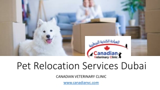 Pet Relocation Services Dubai​