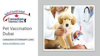 Pet Vaccination Dubai​