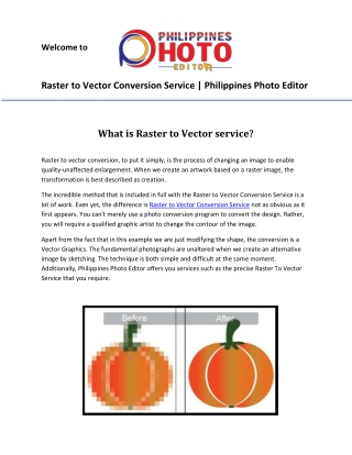 Raster to Vector Conversion Service