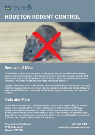 HOUSTON RODENT CONTROL