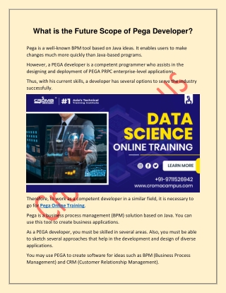 What is the Future Scope of Pega Developer
