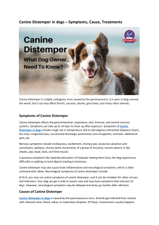 Canine Distemper in Dogs - Symptoms, Cause, Treatments