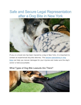 Dog bite attorney new york