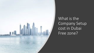 What is the Company Setup cost in Dubai Free zone