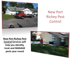 New Port Richey Pest Control