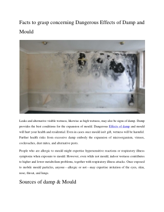 Facts to grasp concerning Dangerous Effects of Damp and Mould
