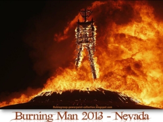 Festival Burning Man 2013