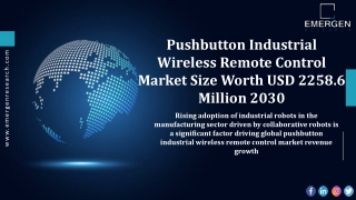 Pushbutton Industrial Wireless Remote Control Market Revenue Analysis, 2030