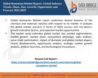 Nanowires Market report