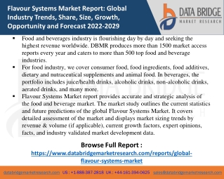 Flavour Systems Market