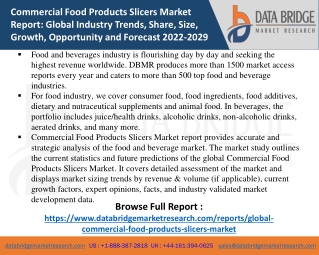 Commercial Food Products Slicers Market