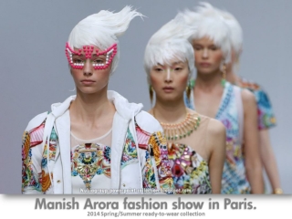 Paris Fashion Show - 2014 Spring/Summer