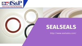Buy Sanitary Gaskets in the USA