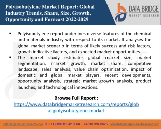 Polyisobutylene Market