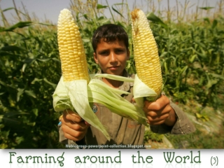 Farming around the World (3)