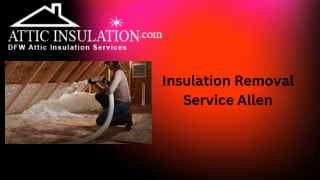 Insulation Removal Service Allen