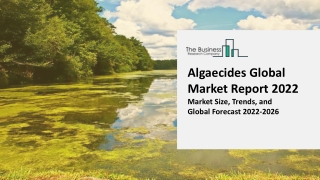 Algaecides Market