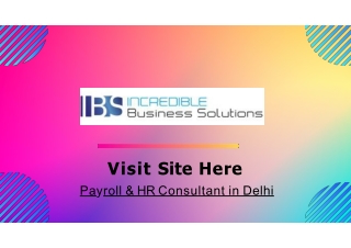 Payroll & HR Consultant in Delhi