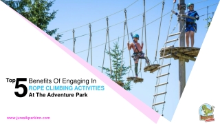 Top 5 Benefits Of Engaging In Rope Climbing Activities At The Adventure Park