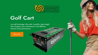 In Need Of Lithium Golf Cart Batteries 48v?