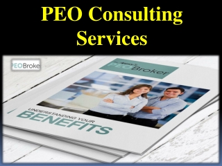 PEO Consulting Services