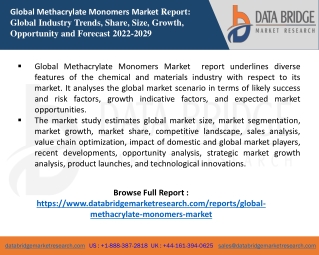 Methacrylate Monomers Market  report