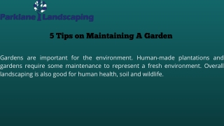 5 Tips on Maintaining A Garden