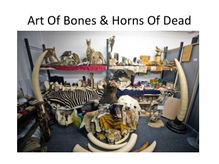 Art Of Bones & Horns Of Dead