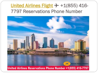 Book United Airlines Reservations Phone Number 1(855) 416-7797