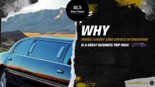 Why Hiring Luxury Limo Service In Singapore Is A Great Business Trip Idea