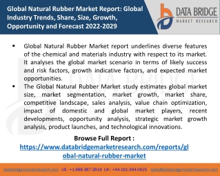 Natural Rubber Markets Analysis &Forecasts, 2022-2028