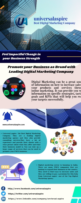 Digital Marketing Company in Delhi