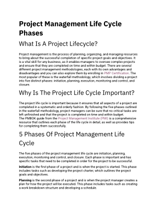 Project Management Life Cycle Phases