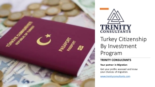 Turkey Citizenship By Investment Program​