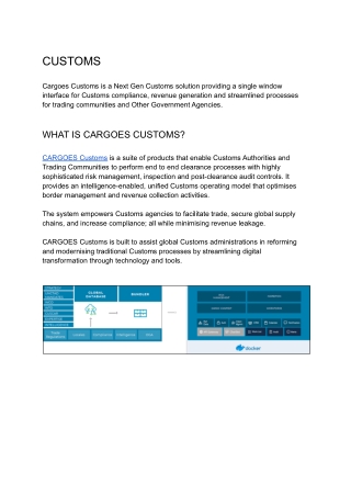 Custom Freight System | Cargoes Custom