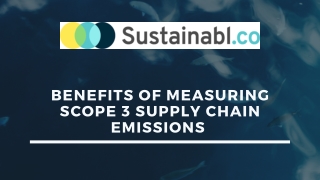 Benefits of Measuring Scope 3 Supply Chain Emissions