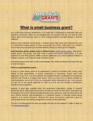 What is small business grant?