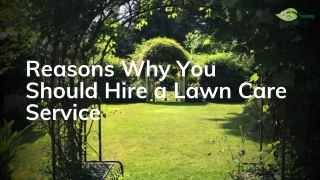 Reasons Why You Should Hire a Lawn Care Service