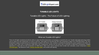 Tuneable Led Lights | Ledlightexpert.com