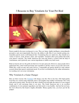 3 Reasons to Buy Vetafarm for Your Pet Bird