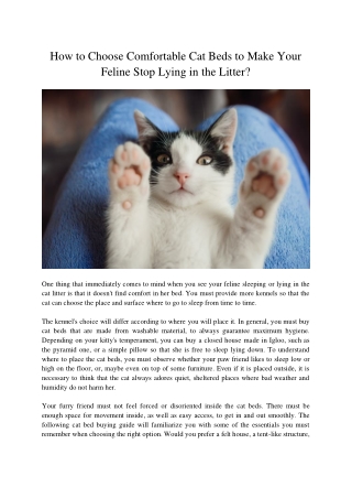 How to Choose Comfortable Cat Beds to Make Your Feline Stop Lying in the Litter