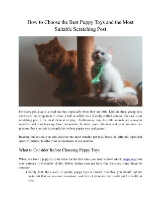 How to Choose the Best Puppy Toys and the Most Suitable Scratching Post
