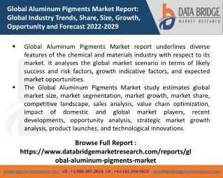 Aluminum Pigments Market Investment Analysis Opportunities, Size and Forecast to