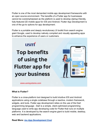 Top benefits of using the Flutter app for your business