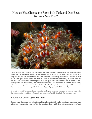 How do You Choose the Right Fish Tank and Dog Beds for Your New Pets