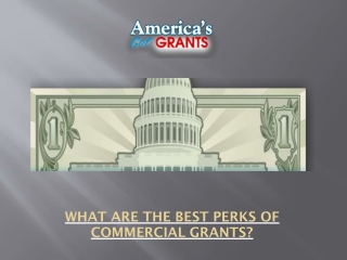 What are the best perks of commercial grants?