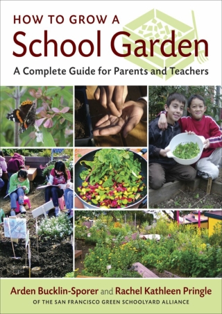How to Grow a School Garden A Complete Guide for Parents and Teachers