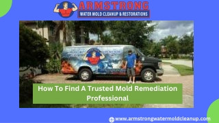 Stay Safe than Sorry By Choosing Professional Mold Remediation Inspection