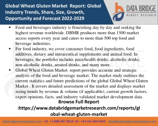 Global Wheat Gluten Market Pdf